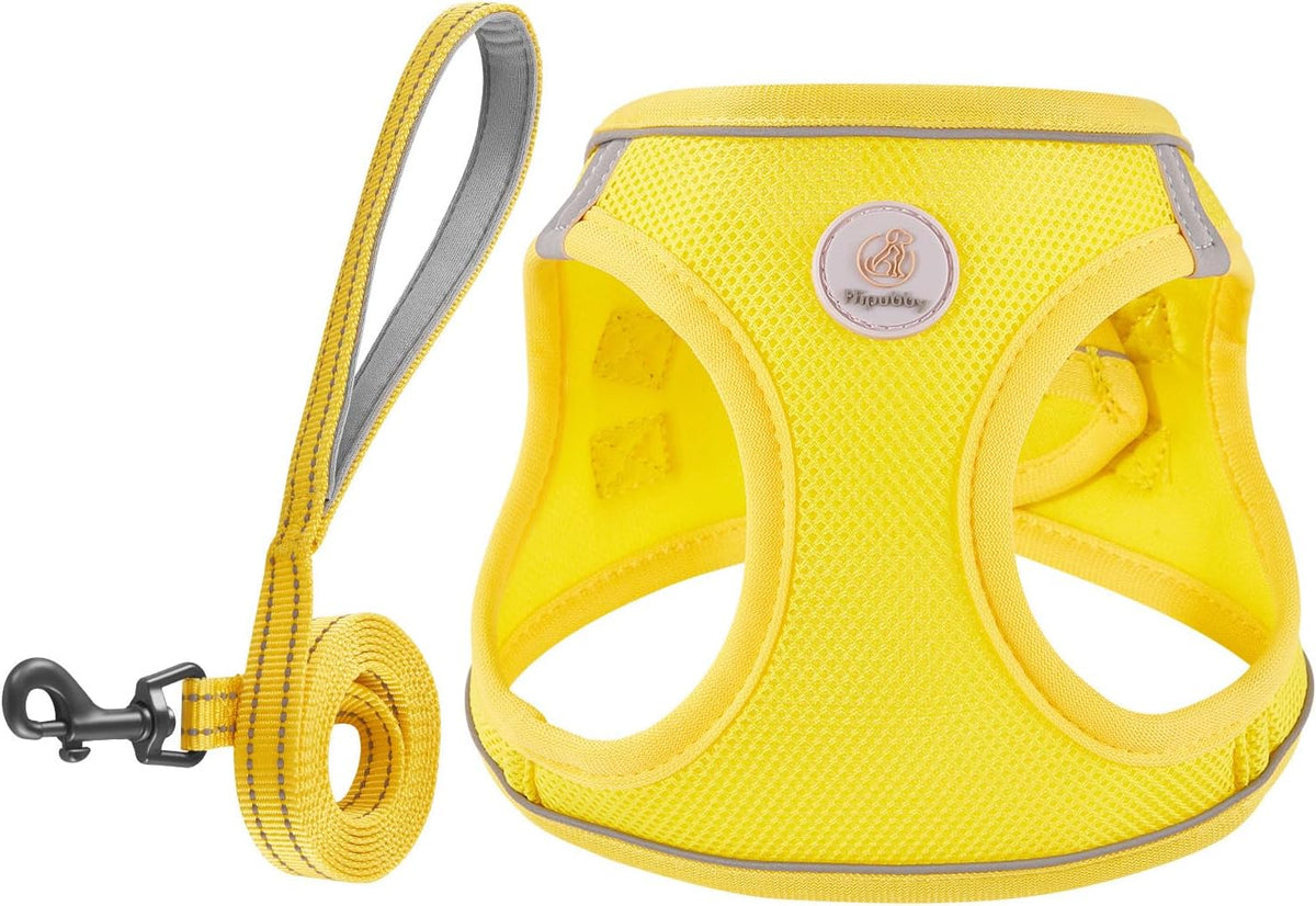 Hipubby Dog Harness and Leash Set - Yellow / L (Chest: 19"-21")