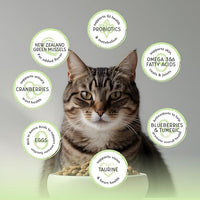 Blackwood Bounty Dry Cat Food, Whitefish & Lentil Recipe for All Life Stages, 10 Pound Bag, High Protein, Grain Free