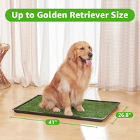 Dog Grass Pad with Tray for Dogs Puppy Potty Training to Pee & Poop - 3-layered design / XL-41"X26.8" - image 2