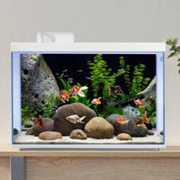 Underwater Aquatic Fish Tank Background Stone Aquarium Backdrop 36x24 - 36x24in/90x60cm - image 4