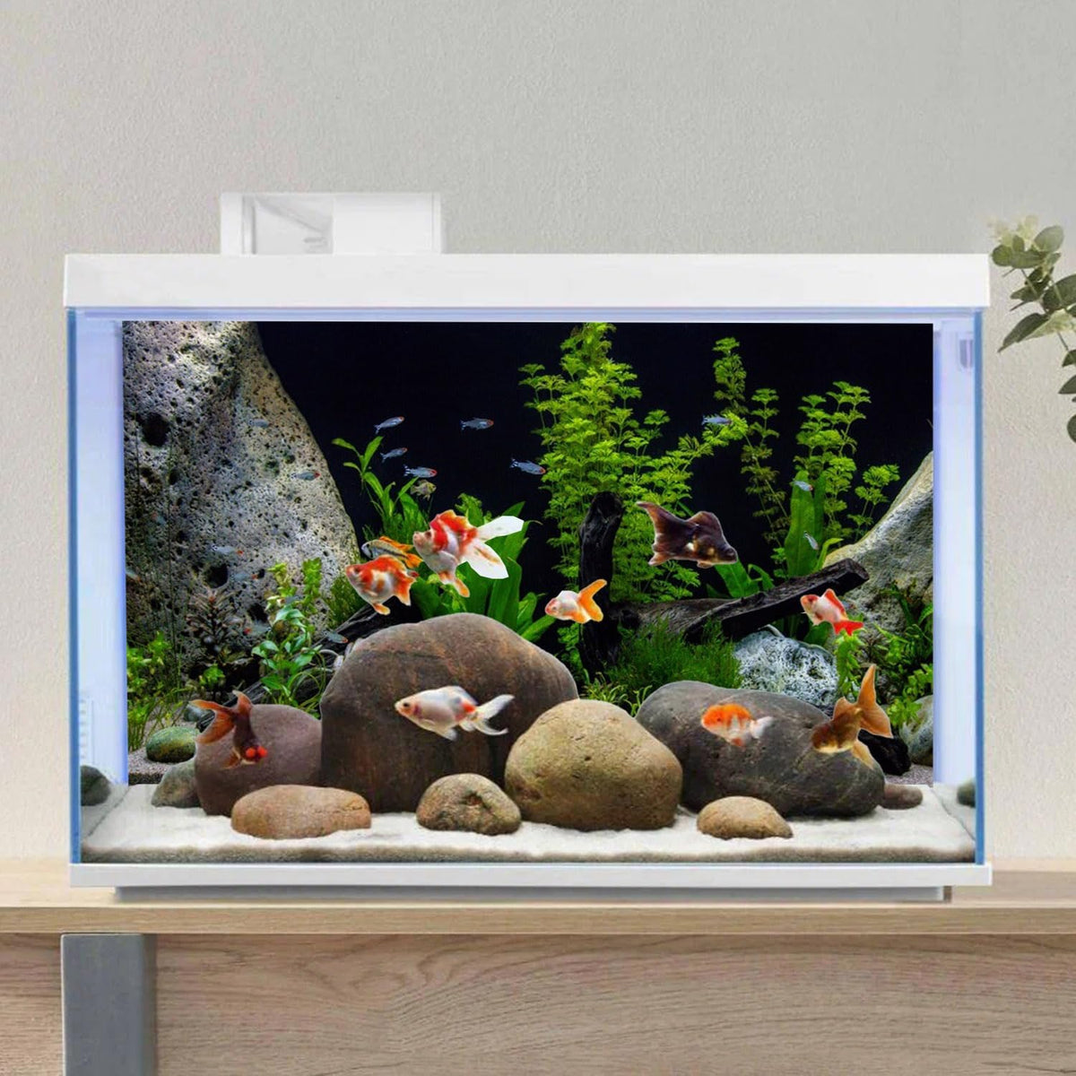 Underwater Aquatic Fish Tank Background Stone Aquarium Backdrop 36x24 - 36x24in/90x60cm - image 4