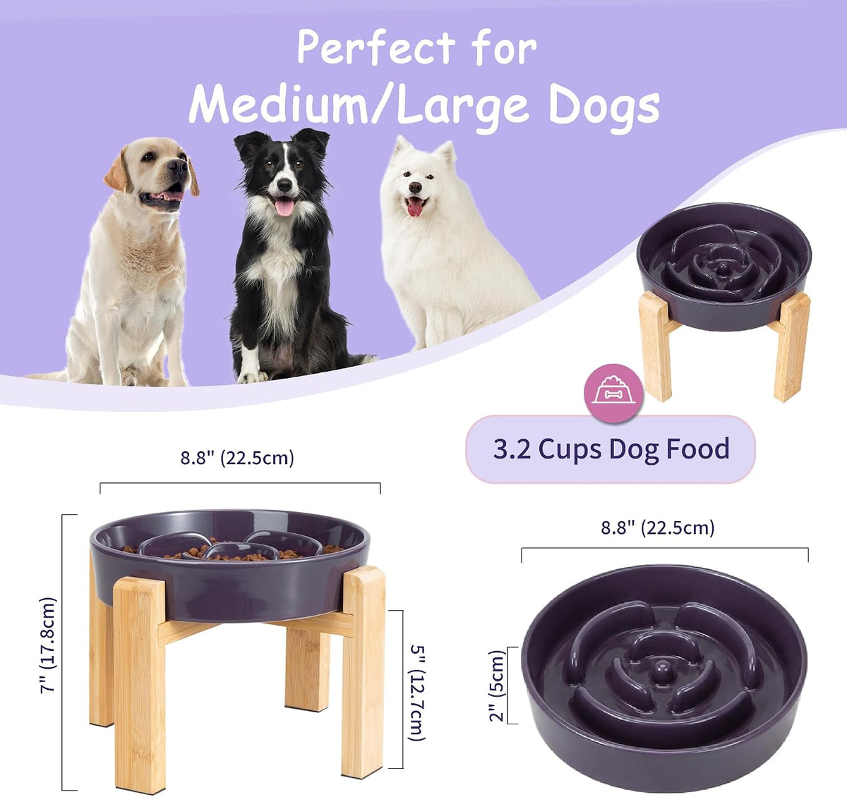 Elevated Slow Feeder Dog Bowl - Purple / 3.2 Cups - image 2