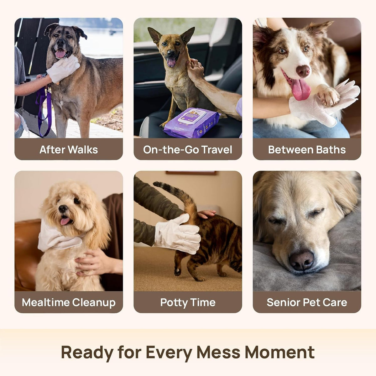 HICC PET Dog Wipes for Dogs & Cats, Glove Design - Verbena Scent / 6 PCS - image 2