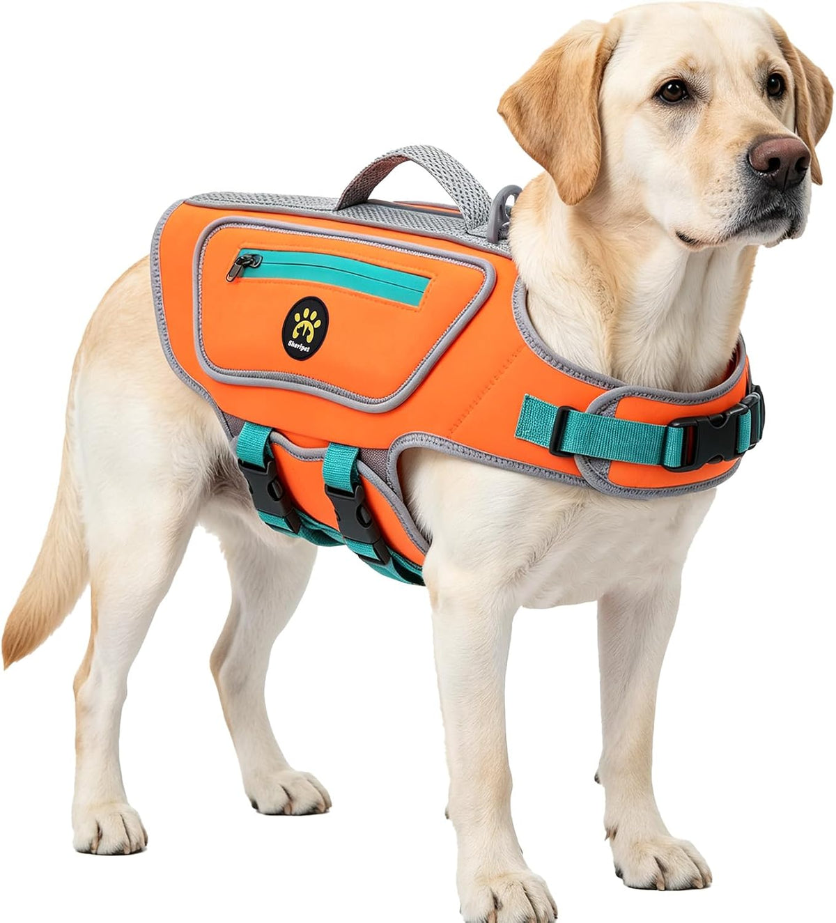 Dog Life Jacket, Good Visibility Pet Swimming Vest for Boating L – Essentials for Dogs - Orange / XX-Small