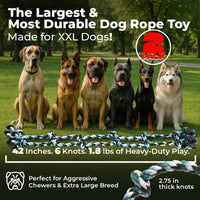 Pacific Pups Products Giant Dog Rope Toy - Green / 2 Pack - image 2