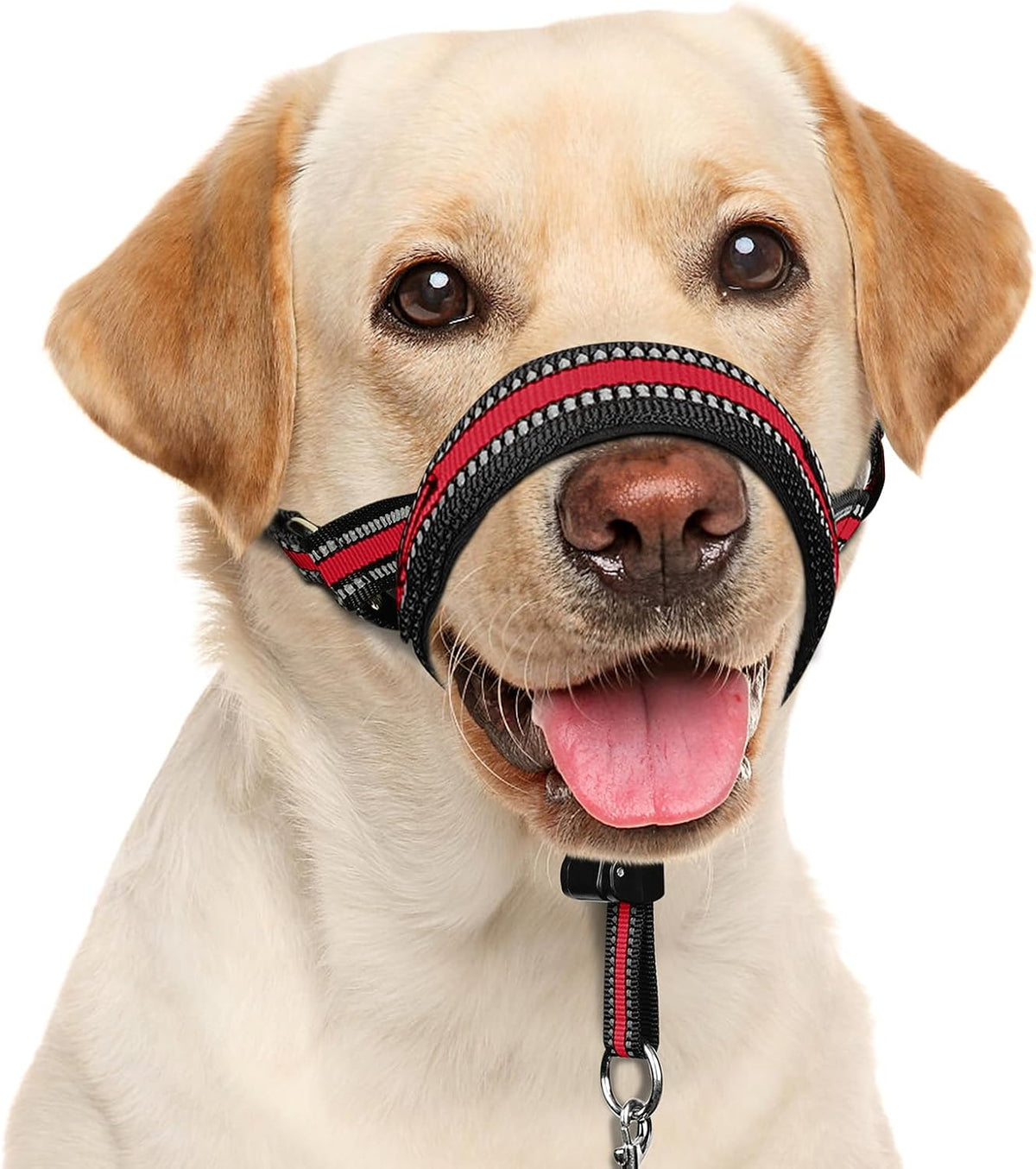 Soft Dog Head Collar, Patented Padded No Pull Training Head Halter – Essentials for Dogs - Red / L (Snout 9.5"-14")