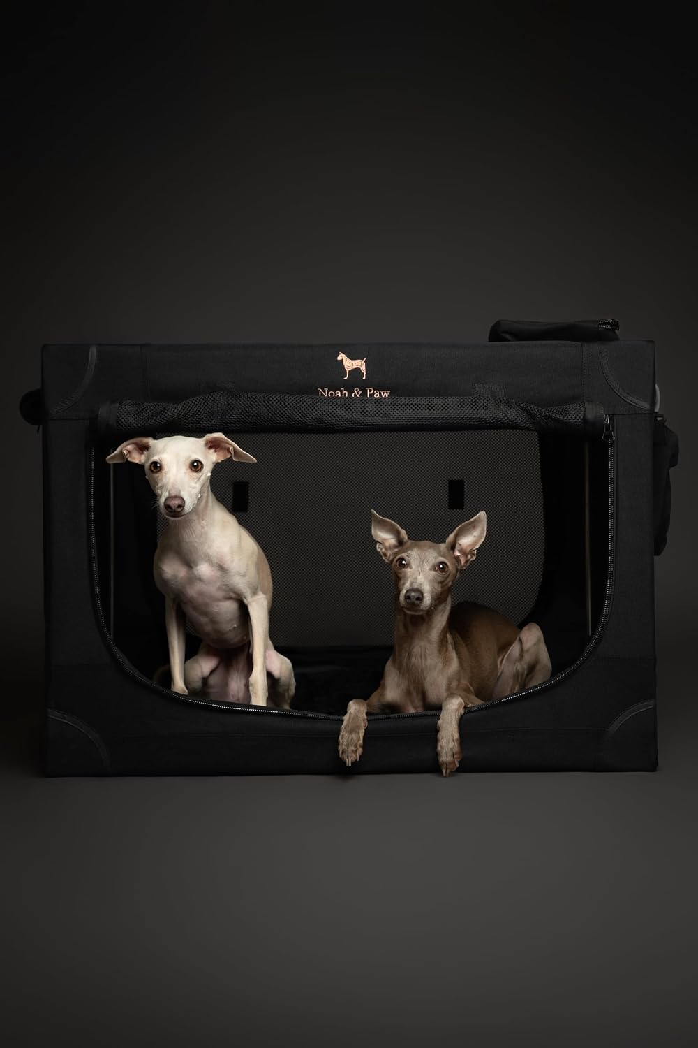Noah & Paw XXL Collapsible Dog Crate, 42" - Black / 30.0"L x 21.2"W x 21.2"H - image 3
