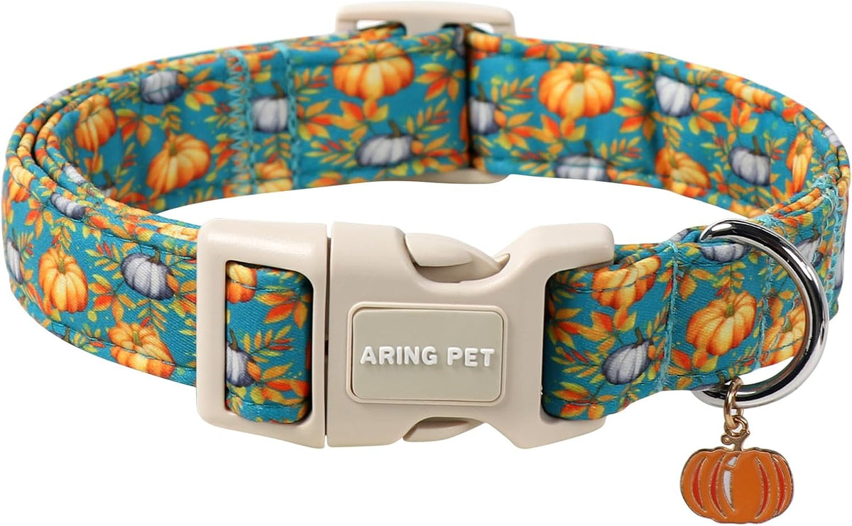 ARING PET Halloween Dog Collar-Cute Fall Dog Collar for Small Dogs - Large / Fall Two Pumpkin