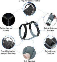 Plutus Pet No Pull Dog Harness - M / Black - image 2