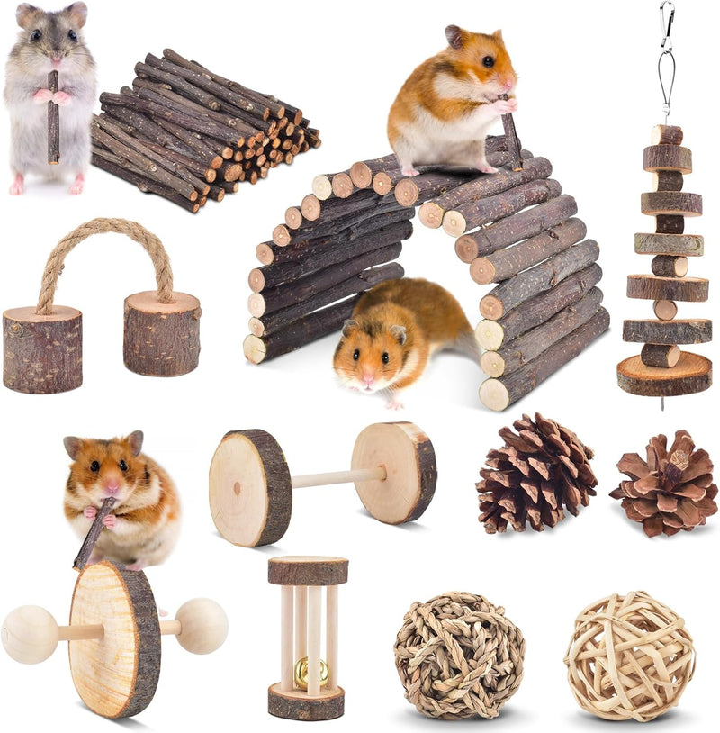 ERKOON 11 Pack Chinchillas Chew Toys - 11 Pack
