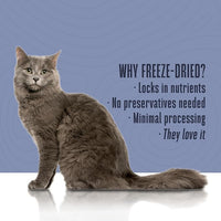 Whole Life Cat Freeze Dried Cat Food - Human-Grade Wet Food Toppers, Single Ingredient Snacks & Lickable Treats, Instantly Hydrating Natural Broth Just Add Water, Made in USA - Salmon & Tuna, 3 Oz