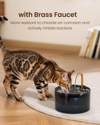 Cat Water Fountain with 3-Pack Replaceable Filters - Cat fountain + 6 Filters+ 6 Sponges - image 2