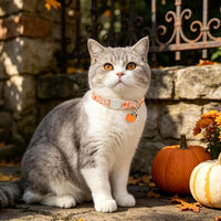 ARING PET 2 Pack Cat Collar-Cute Cotton Cat Collar Breakaway - Halloween Pink & Orange Ghost - image 3