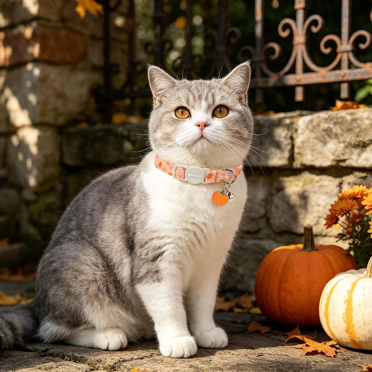 ARING PET 2 Pack Cat Collar-Cute Cotton Cat Collar Breakaway - Halloween Pink & Orange Ghost - image 3