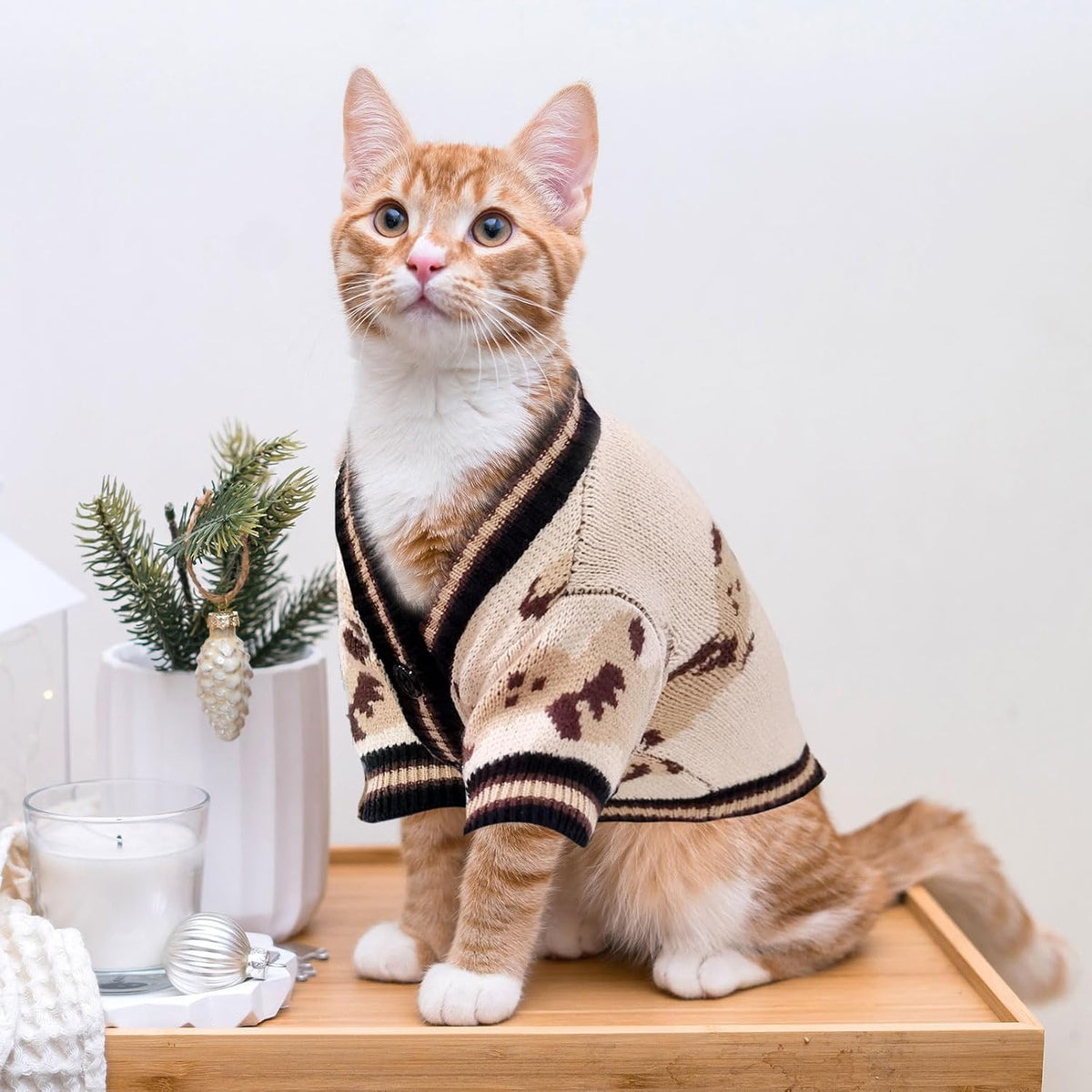 Small dog sweater cardigan with cute bear pattern and button closures - view 3