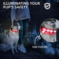 Super Bright LED Dog Collar, Waterproof Light up Collars – Essentials for Dogs - XS(Width:0.6",Length:8" - 11.5") / Red - image 4