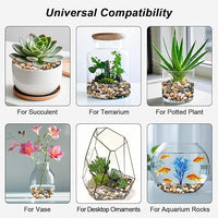 River Rocks, Decorative Ornamental Pebbles,Garden Landscaping Stones,Gravel Filler for Home Decoration Flower Bed Fish Tank Plants Vases Succulents