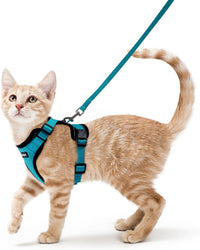 rabbitgoo Cat Harness and Leash Set, Escape Proof Vest - Xs / Teal