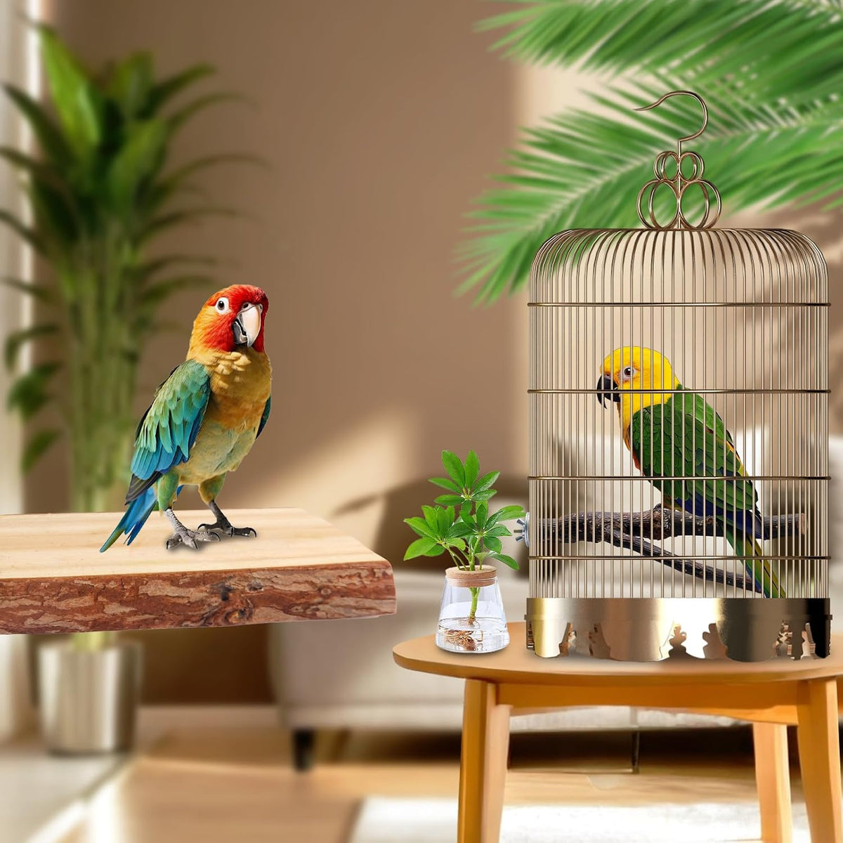 Bird Toys Parakeet Perch Budgie Perch Wood Stand Fork Toys - image 2