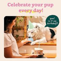 WOOF Party Pupsicle - Long-Lasting Interactive Dog Toys for Boredom - Low-Mess Design - Birthday Gifts for Dogs - XL Dog Toys - Buddy Blue
