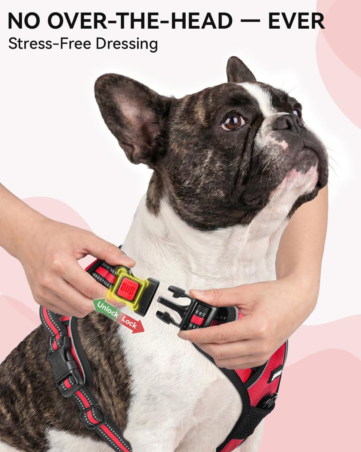 Joytale No Pull Dog Harness & Seat Belt, Easy On 3-Buckle, L - Red / Small - image 2
