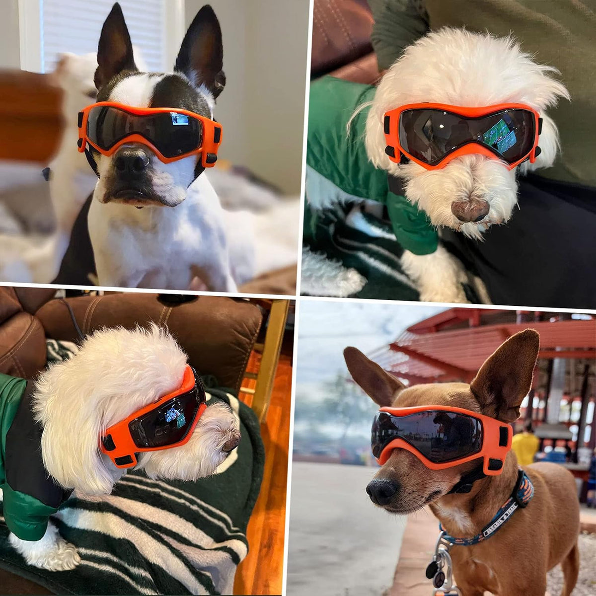 Dog Sunglasses for Extra Small Breed UV Protection Windproof XS Dog - Medium / Orange - image 2