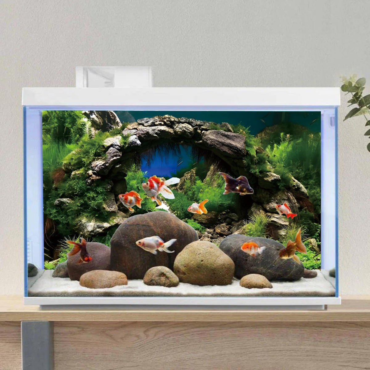 24x12 inch arch stone and aquatic plant vinyl aquarium backdrop - view 4