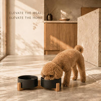 SPUNKYJUNKY Ceramic Dog and Cat Bowl with Wood Stand Non-Slip Matte - 1.7 cups / Black × 2 - image 2