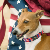 Elegant little tail Fall Dog Collar - American Flag B / X-Small (Pack of 1) - image 4