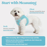 rabbitgoo Dog Harness Small Sized and Leash Set - Mint Blue / M (chest: 16 - 18.5") - image 2