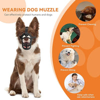 Dog Muzzle – Lightweight Breathable Basket Muzzle, Anti-Biting & Chewing, Adjustable Fit for Small, Medium & Large Dogs(Size 2)