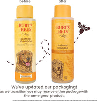 Burts Bees for Pets Oatmeal Dog Shampoo with Honey - Unscented / 16 Fl Oz (Pack of 1) - image 4