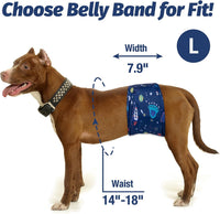 Pet Soft Dog Belly Band, Washable Dogs Belly Bands for Male Dogs - Starry Sky / Large (14''-18'') - image 2