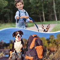 Dog Poop Bag Holder for Leash Waste Bag Carrier Dog Poop Bag - Black - image 3