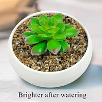 20lbs Fish Tank Sand, 1/16 inch Small Aquarium Gravel. Decorative Pea Gravel River Rocks for Air Plants, Vase Fillers, Landscaping and Succulent Soil Cover
