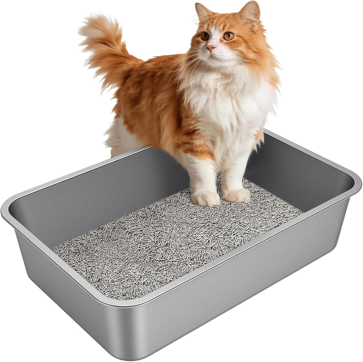 Stainless Steel High Sided Cat Litter Box – Daily Care for Cats - 23.62"L x 15.75"W x 5.91"H