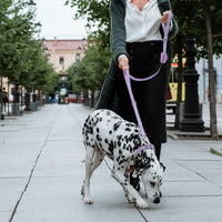 Wisedog Two Handles Dog Leash, Lilac - Lilac Purple / L - image 4