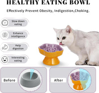 S&Q's CERAMICS Raised Slow Feeder Cat Bowl - 5.8" / Purple - image 3