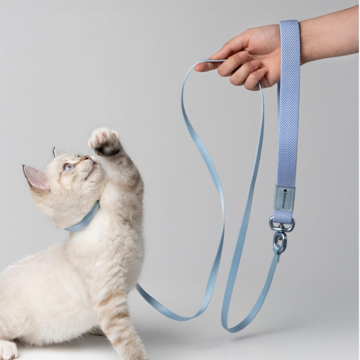 Cat Harness and Leash 2-in-1 - Linen - image 3