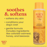 Burts Bees for Pets Oatmeal Dog Shampoo with Honey - Unscented / 16 Fl Oz (Pack of 2) - image 2