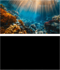 Aquarium Background, Ocean Fish Tank Background - 2 pack / 28x12in