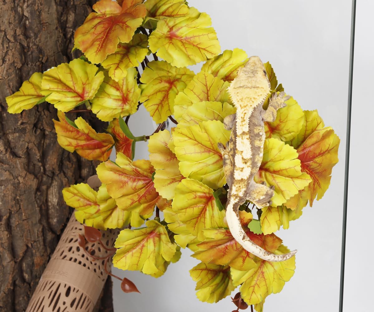2Pack Reptile Plants for Terrarium - F-fake Heuchera Micrantha Yellow - image 4