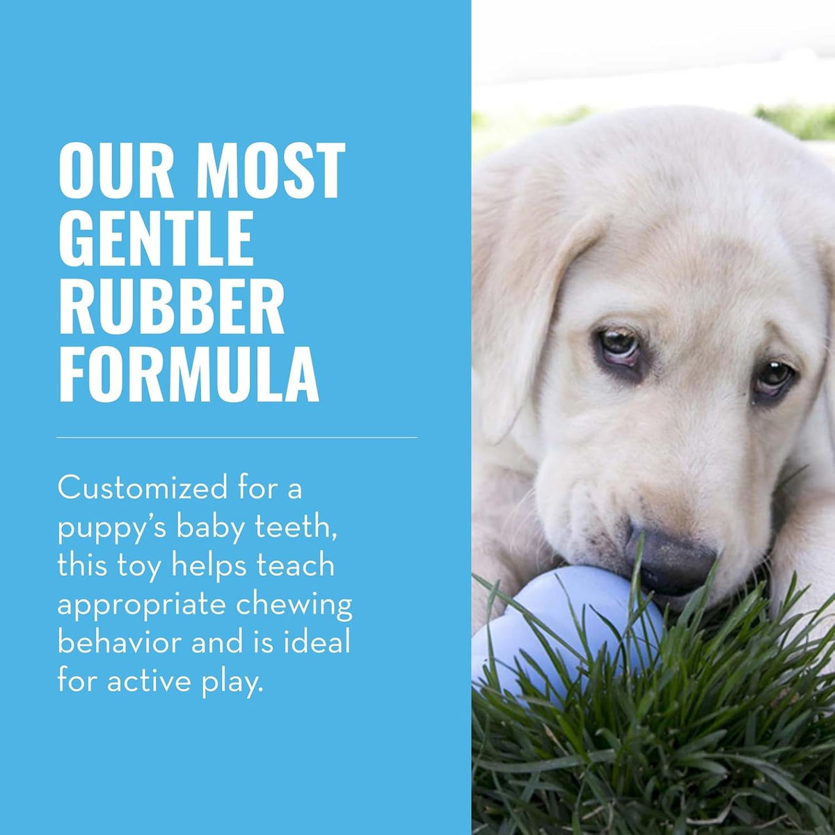 KONG Puppy, Natural Rubber Teething Chew Toy, for Small Puppies - Large (Pack of 1) / Blue - image 2