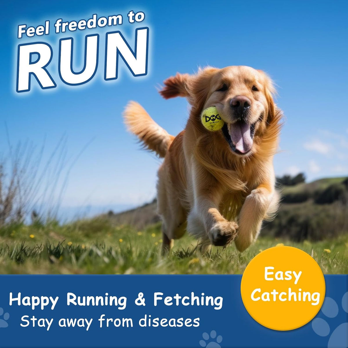 INSUM Tennis Balls for Dogs - Small / Classic - image 4