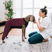 Kuoser Dog Recovery Suit, Anti Licking Dogs Rear Leg Sleeve, Abdominal Dog Surgical Suit with Pants Cover Protect Wounds, Dogs Elbow Protector Soft Pet Surgery Onesie Cone Alternative, Red 4XL