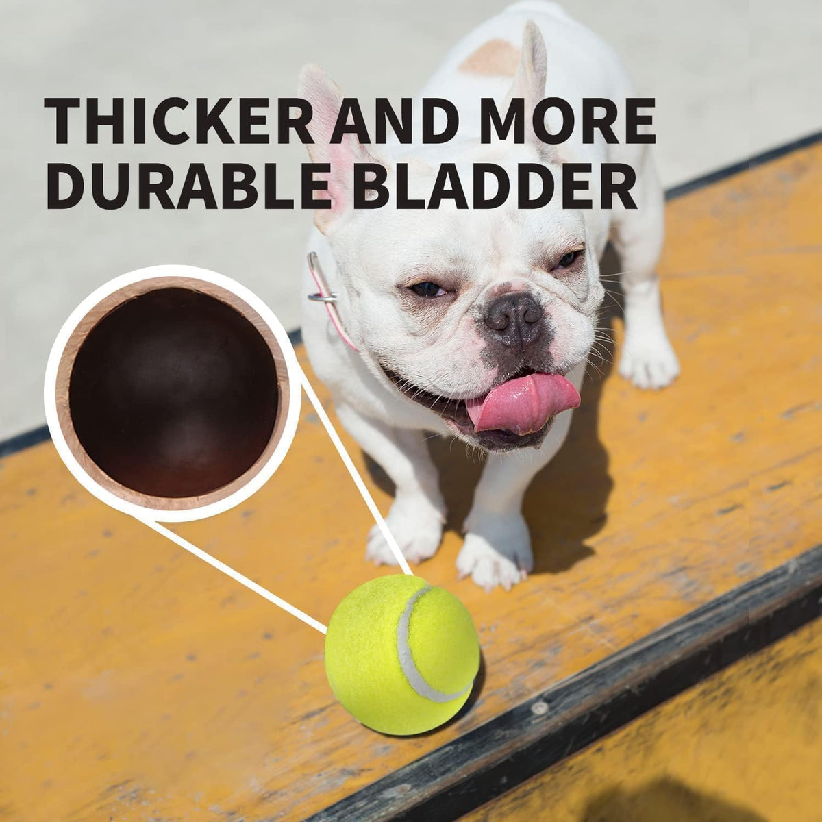 All for Paws Interactive Hyper Fetch Super Bounce Tennis Balls Dog Toy - Ball*6(2 inch) - image 4