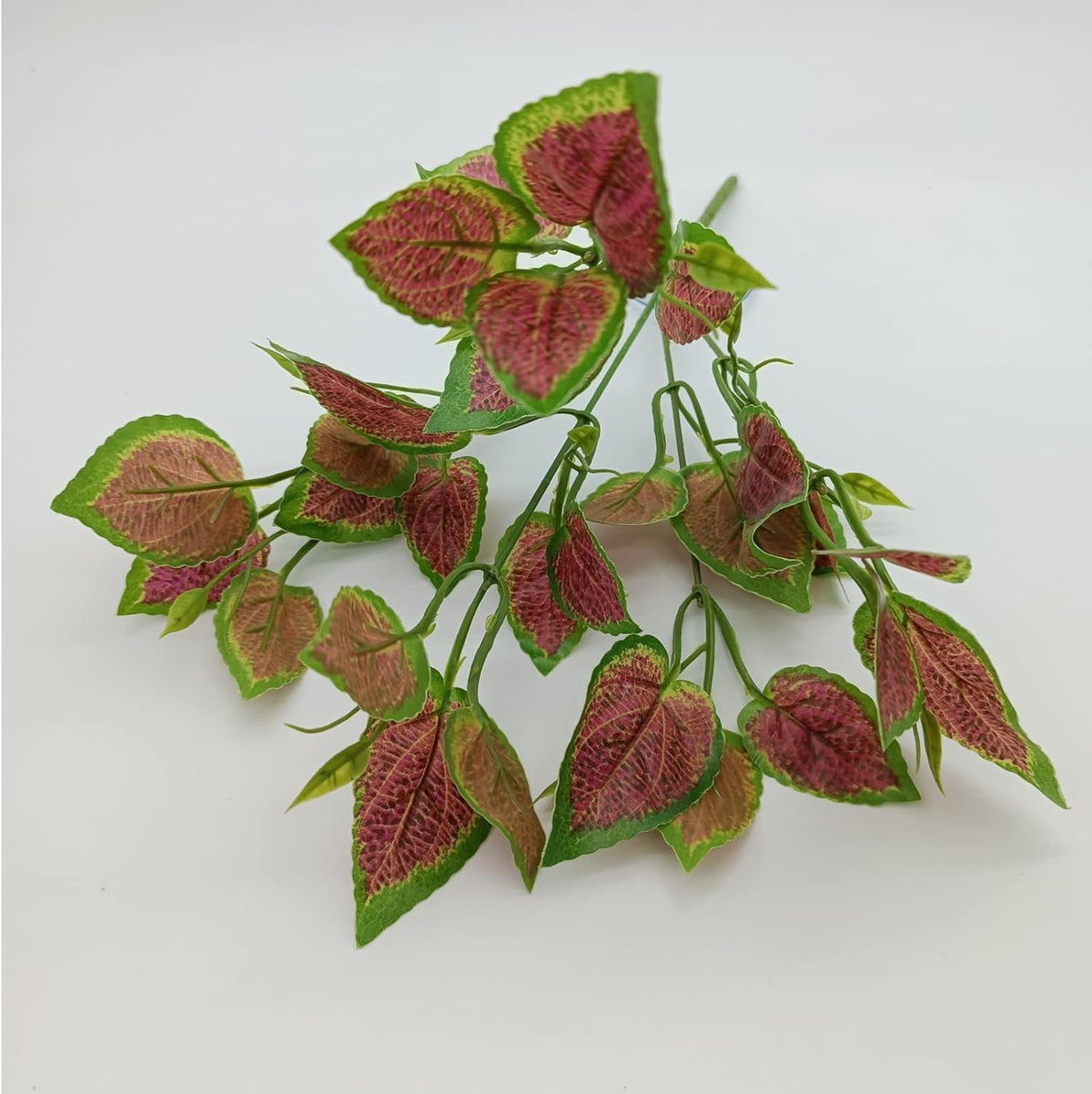 Reptile Plants for Bearded Dragon Tank Accessories - Group Gn - image 4