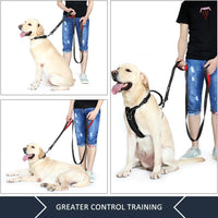 Plutus Pet Double Handle Dog Leash, for Medium Large Dogs - 6 FT / Black - image 3