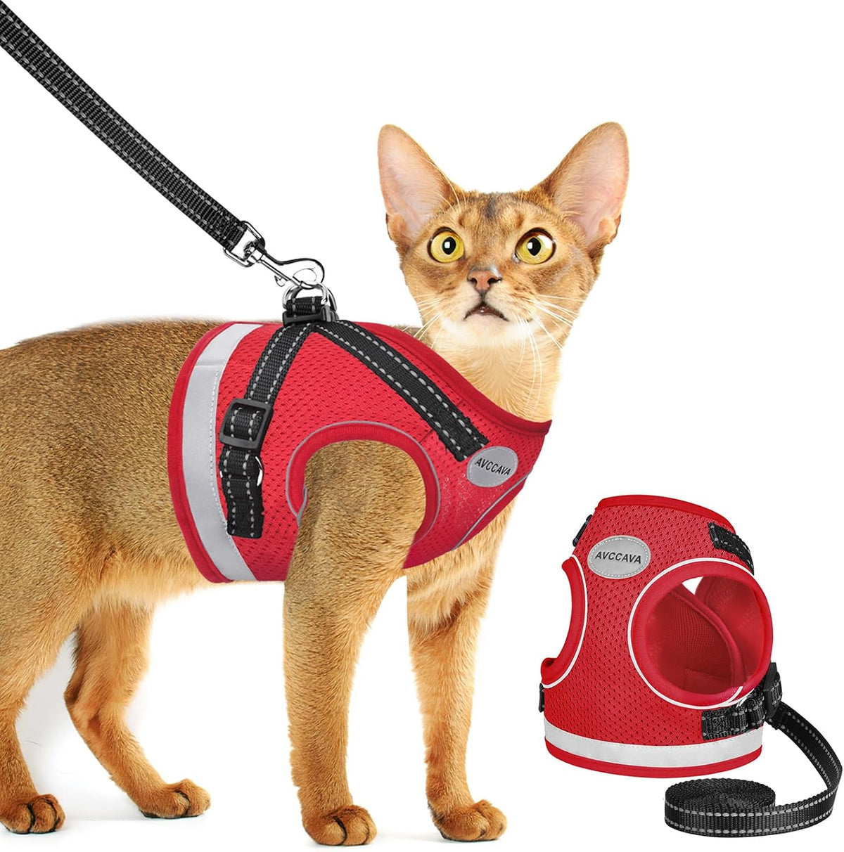 Cat Harness and Leash Set - Red / S (Chest: 9" - 11")