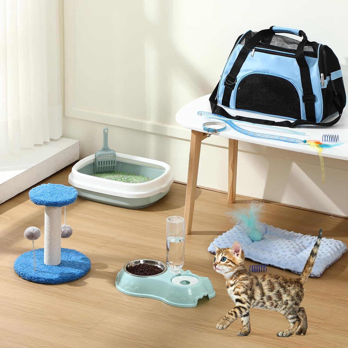 Eccliy 10 Pcs Kitten Starter Kit for Indoor - Classic / Medium / Blue - image 3